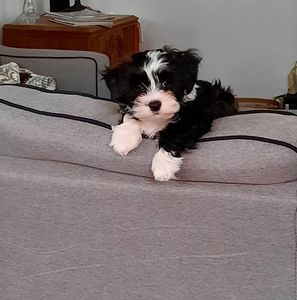 Meet your Posher, Terry